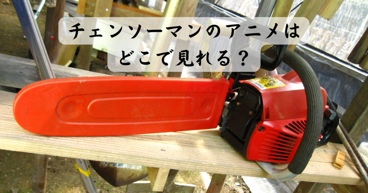 チェンソーマンのアニメはどこで見れる？