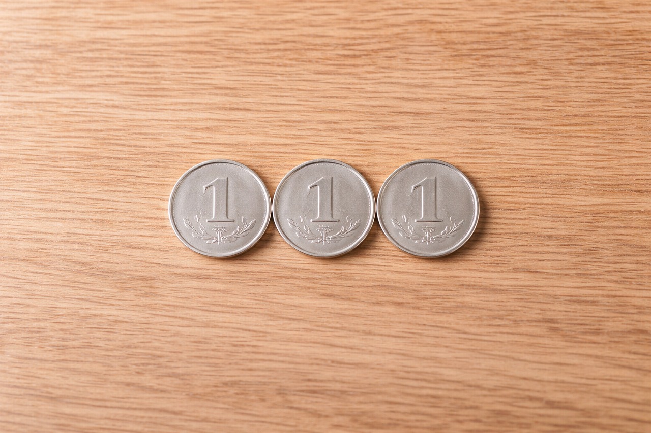 身近なもので見る6センチの具体例【硬貨・電池編】