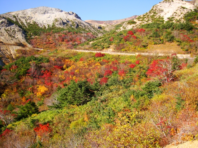 磐梯吾妻スカイラインの紅葉